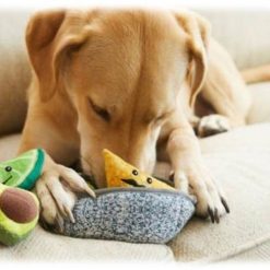 Đồ chơi cho thú cưng nhồi bông