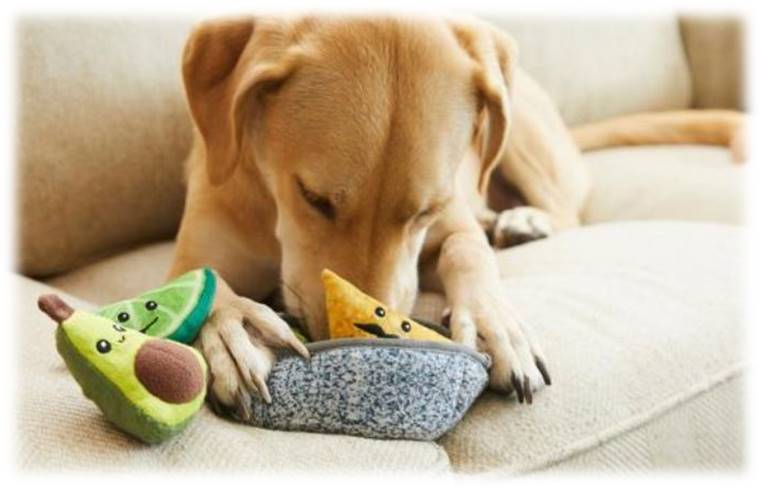 Đồ chơi cho thú cưng nhồi bông